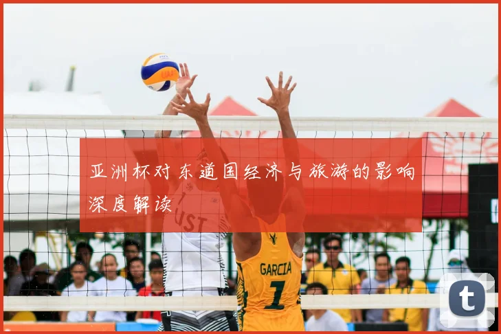 亚洲杯对东道国经济与旅游的影响深度解读